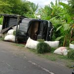 Muat Delapan Penumpang dan Rumput, Mobil Pick Up terguling di Jagaraga Indah