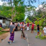 BNPB Lobar bersama Warga Berhasil Evakuasi Pohon Tumbang di Kuripan, Polisi Lakukan Penjagaan
