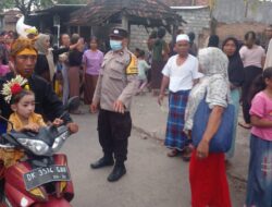 Tadisi Adat Nyongkolan di Desa Kuripan Berjalan Tertib, Dengan Iringan Gendang Beleq