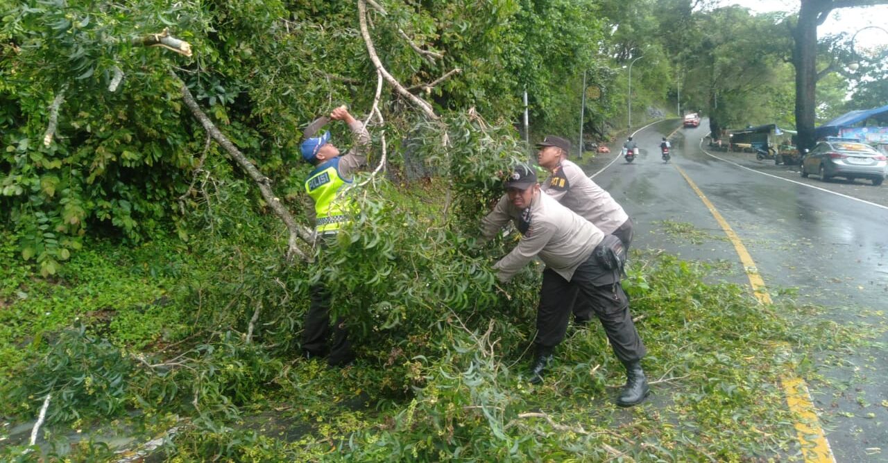 Evakuasi Pohon Tumbang yang Menghalangi Bahu Jalan