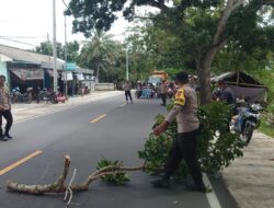 Polsek Lembar Amankan Kegiatan Pemangkasan Pohon di Desa Lembar Selatan, Antispasi Angin Kencang