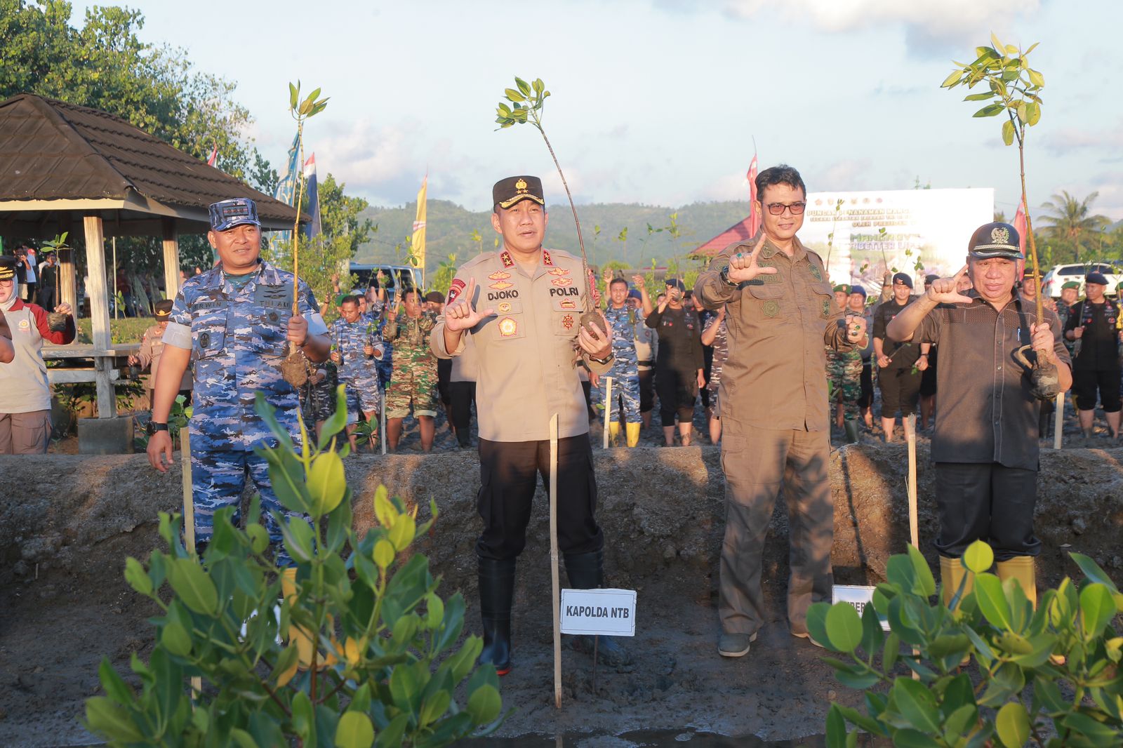 Penanaman Mangrove di Sekotong