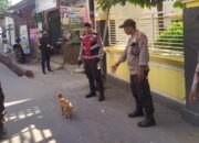 Labuapi Ramai Sambut Kampanye Dialogis Calon Legislatif DPRD Lombok Barat