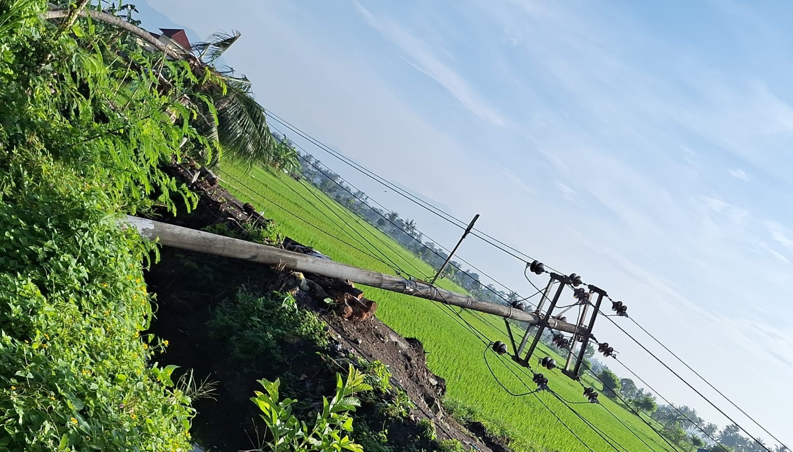 7 Tiang Listrik Bertumbangan di Gerung, Posek Gerung Amankan Lokasi