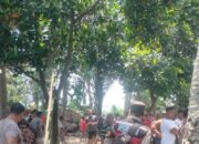 Judi Sabung Ayam di Lombok Barat Dibubarkan Polisi, Arena Dibongkar!
