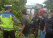 Polisi Siaga! Atur Lalu Lintas dan Pangkas Pohon di Senggigi Demi Keamanan Pengguna Jalan