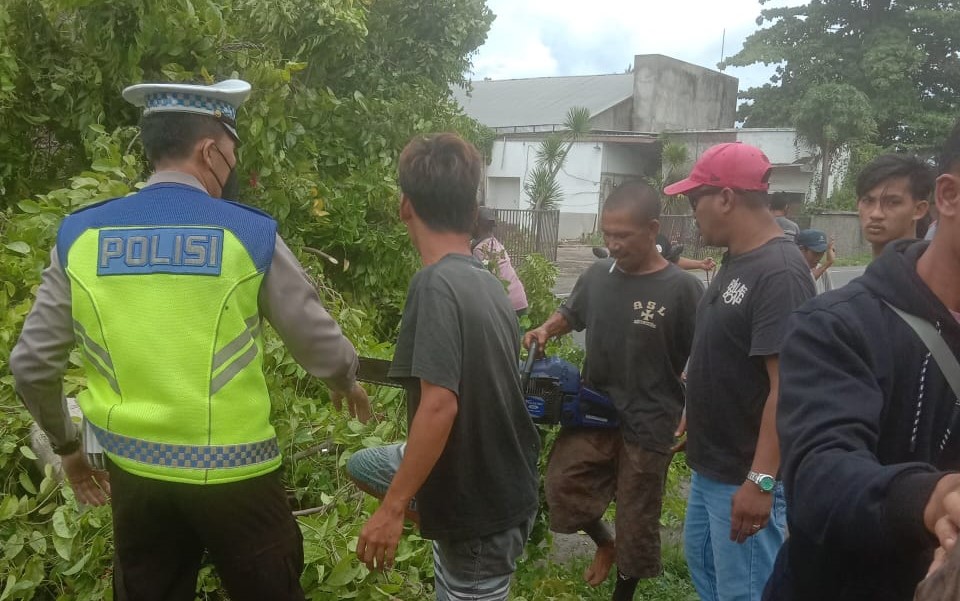 Perampingan Pohon di Jalan Raya Senggigi