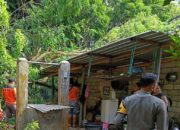 Angin Kencang Mengamuk di Lombok, Rumah Warga Tertimpa Pohon Tumbang!
