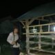 Polsek Sekotong Gelar Patroli Malam Cegah Kriminalitas 3C di Kandang Ternak