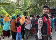 Nyongkolan Sekotong Aman Terkendali, Polsek Kawal Ketat Tradisi Sasak