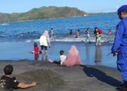 Zero Insiden Keamanan di Pesisir Lombok Barat, Bukti Keberhasilan Satpolairud