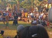 Meriah! Peresean Memukau di HUT Desa Cendi Manik ke-13, Tradisi Berbalut Semangat Juang
