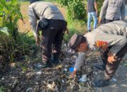 Sinergi Polres Lombok Barat dan Masyarakat Sukses Bersihkan Pantai Batas Senja dari Sampah