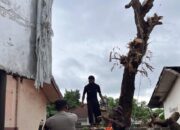 Polsek Kediri Amankan Penebangan Pohon di SDN 4 Kediri Selatan