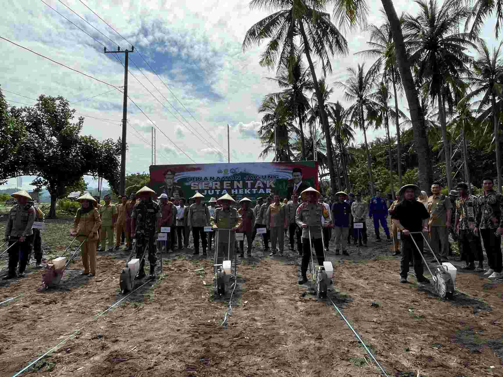 Sinergi Polri-Petani, Lombok Barat Jadi Lokomotif Swasembada Jagung 2025