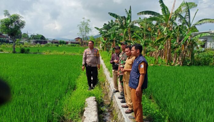 Sinergi Bhabinkamtibmas & PPL: Optimalkan Lahan Kosong untuk Pertanian