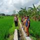 Karang Bongkot Punya Potensi! Lahan Kosong Siap Digarap Petani