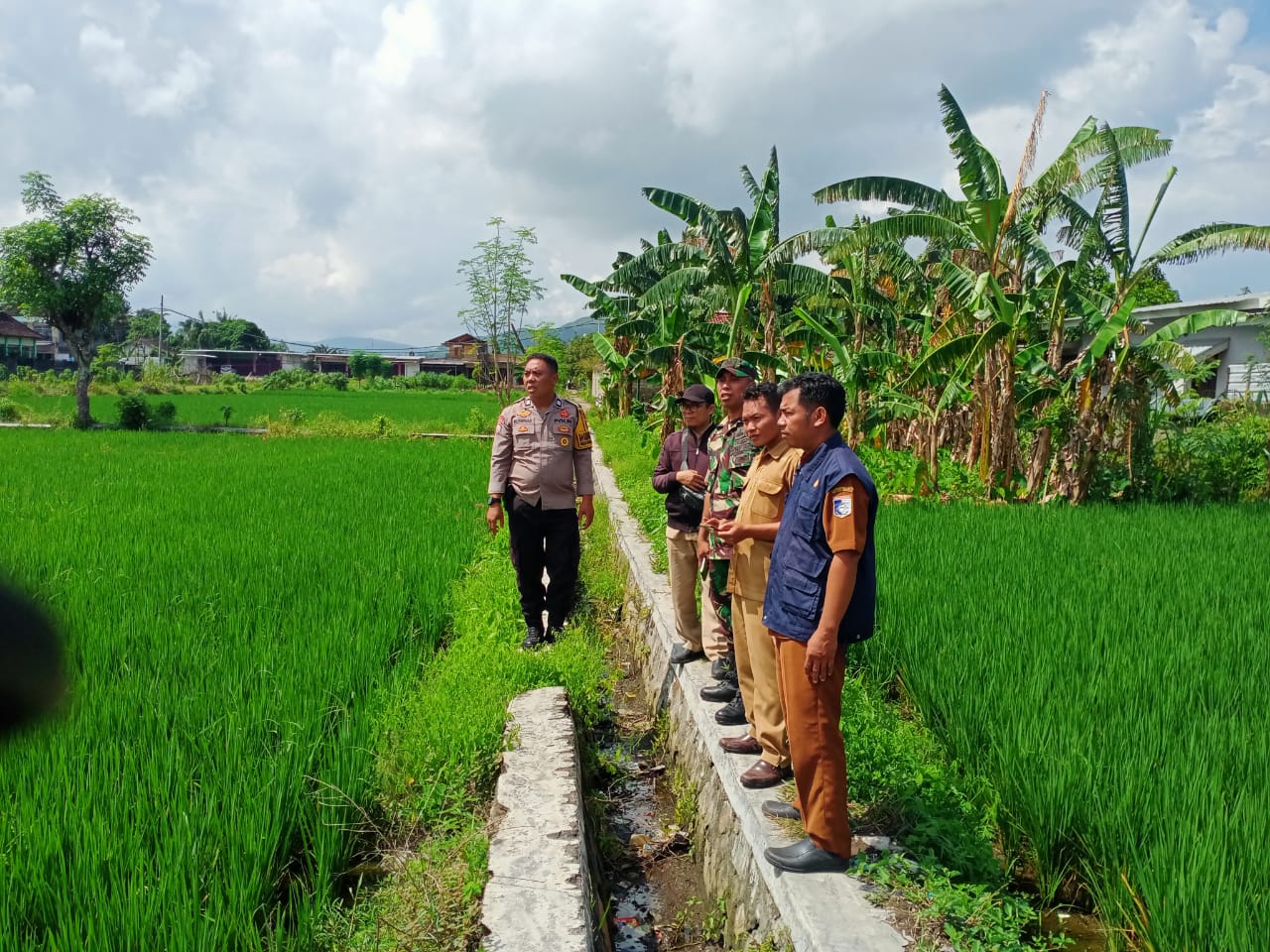 Karang Bongkot Punya Potensi! Lahan Kosong Siap Digarap Petani