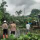 Pohon Tumbang Blokade Jalan Raya Sekotong, Polisi Gerak Cepat!