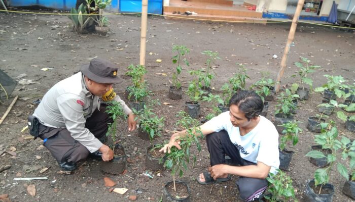 Motivasi Warga Bertani, Polsek Labuapi Sambangi Dusun Jogot