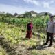 Sinergi Polri dan Petani, Lahan Kosong Jadi Lumbung Pangan di Labuapi