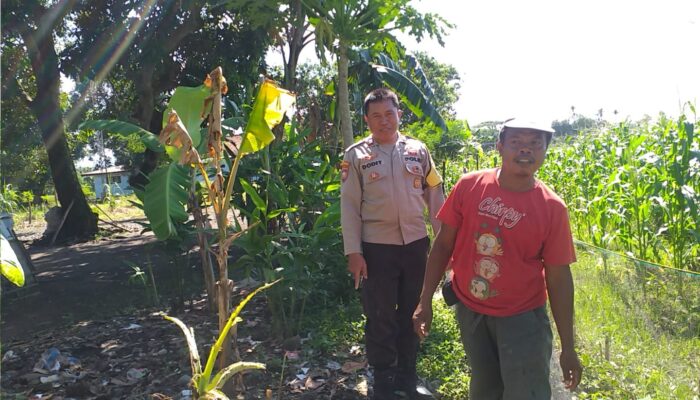 Sinergi Polri & Warga Jagaraga, Dukung Program Ketahanan Pangan