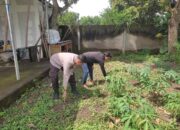 Polisi dan Petani Bersinergi: Bhabinkamtibmas di Labuapi Turun ke Sawah