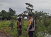 Polri Dukung Ketahanan Pangan, Bhabinkamtibmas Terjun ke Sawah