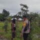 Polri Dukung Ketahanan Pangan, Bhabinkamtibmas Terjun ke Sawah