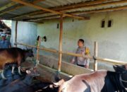 Sinergi Polisi dan Warga: Manfaatkan Lahan Kosong untuk Ketahanan Pangan