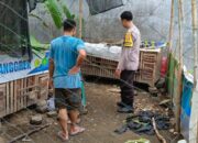 Inovasi Bhabinkamtibmas: Sukseskan Ketahanan Pangan dari Pekarangan Rumah