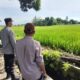 Polisi Turun ke Sawah! Bhabinkamtibmas Dukung Petani di Labuapi