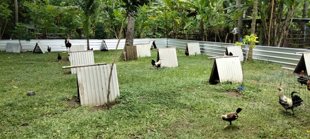 Kapolsek Batulayar: Komitmen Nyata untuk Keamanan Lombok Barat