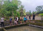 Sinergi Polsek Kuripan dan Pemuda: Bangun Swasembada Pangan