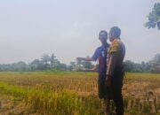 Polisi Aktif Edukasi Petani Lombok Barat, Program Swasembada Pangan Jadi Fokus