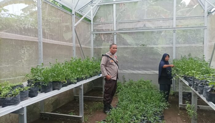 Polisi Peduli Pangan: Warga Lombok Barat Diajak Berkebun Cabai