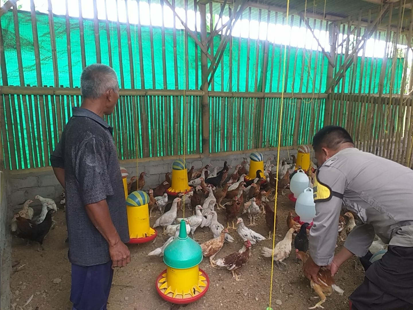 Kunjungi Peternak Ayam, Bhabinkamtibmas Sosialisasikan Ketahanan Pangan