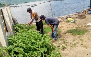 Sinergi Polri dan Warga: Kapolsek Sekotong Tinjau Pekarangan Bergizi