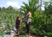 Polisi Turun ke Sawah, Ketahanan Pangan Makin Kuat