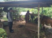 Sinergi Polri dan Masyarakat: Optimalisasi Lahan Pekarangan untuk Ketahanan Pangan