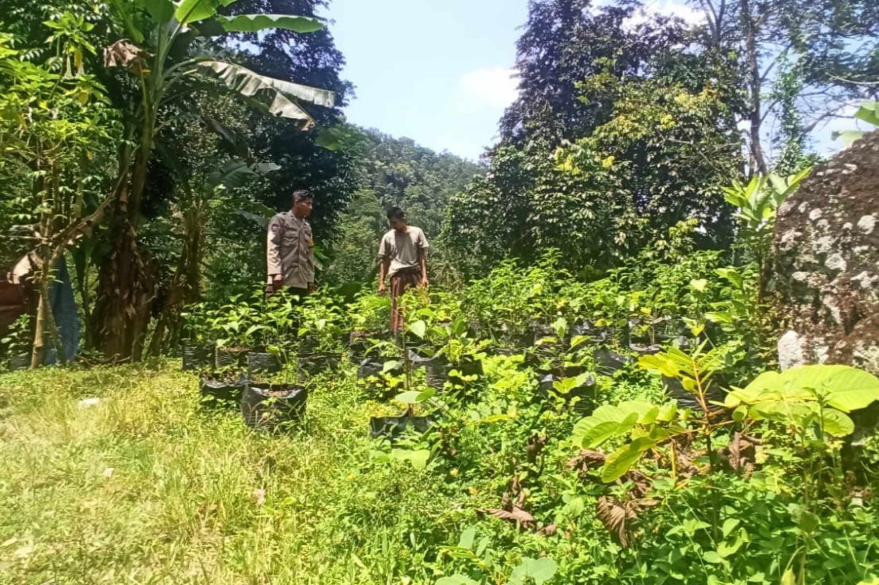 Desa Batulayar