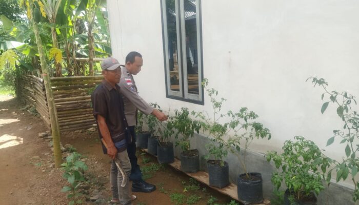 Pemanfaatan Pekarangan oleh Warga Didukung Bhabinkamtibmas Taman Baru