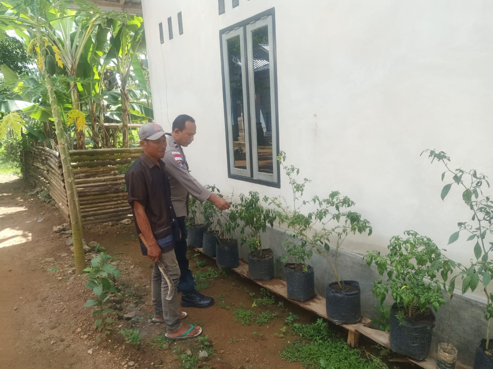 Pemanfaatan Pekarangan oleh Warga Didukung Bhabinkamtibmas Taman Baru