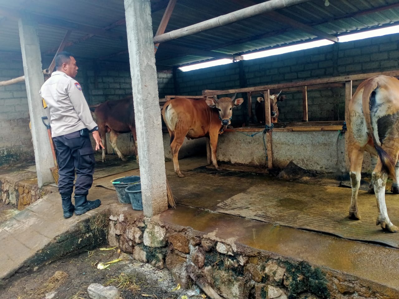 Kolaborasi Polri-Warga, Dorong Ekonomi Lewat Peternakan
