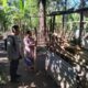 Bhabinkamtibmas Desa Batulayar Barat Ajak Warga Tanam Sayur di Pekarangan, Dukung Program Pangan Lokal