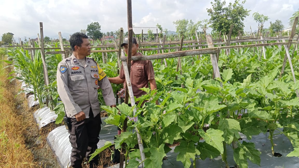 Optimalisasi Lahan Pekarangan, Polres Lombok Barat Dorong Pangan Mandiri