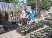 Bhabinkamtibmas Desa Montong Are Aktif Dorong Ketahanan Pangan di Lombok Barat