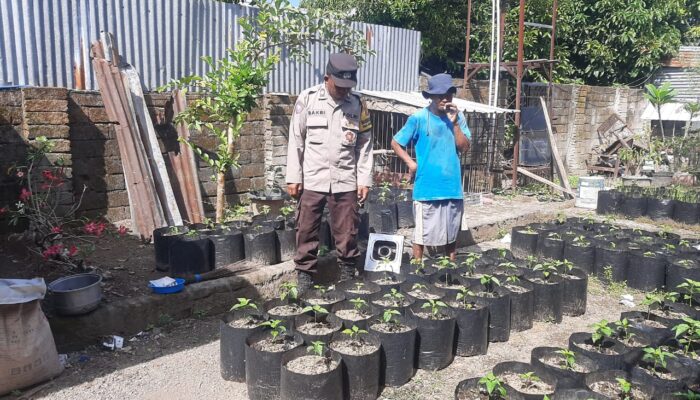 Bhabinkamtibmas Desa Montong Are Aktif Dorong Ketahanan Pangan di Lombok Barat