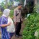 Bhabinkamtibmas Perampuan Dorong Ketahanan Pangan Lewat DDS