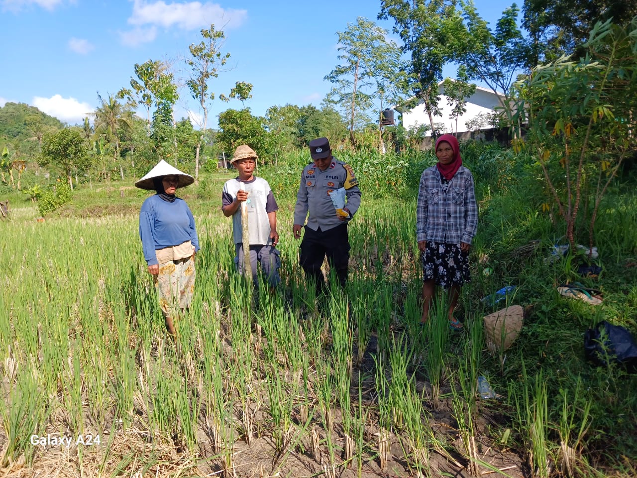Kolaborasi Polri dan Petani, Dorong Kemandirian Pangan di Desa Giri Tembesi